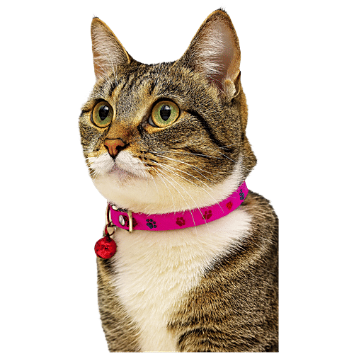Nootie Cat Collars With Bell - Assorted Colour, 2 pcs Adjustable Soft Collars for Cats & Kittens