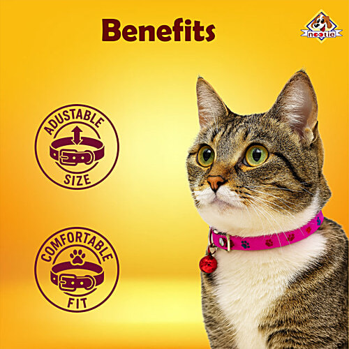 Nootie Cat Collars With Bell - Assorted Colour, 2 pcs Adjustable Soft Collars for Cats & Kittens