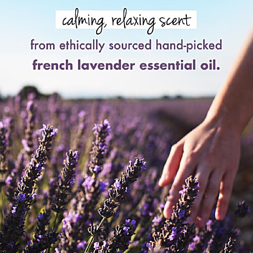 Love Beauty & Planet Argan Oil & Lavender Hair Mask - Anti-Frizz, 200 ml  Smooth and Serene 2-minute Magic Masque