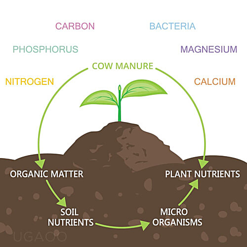 Ugaoo Odourless & Fine Textured Cow Manure, 1 kg (Pack of 2) 