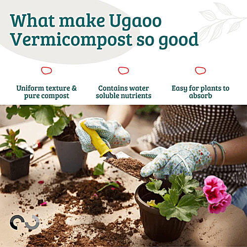 Ugaoo Vermicompost, 1 kg (Pack of 2) 