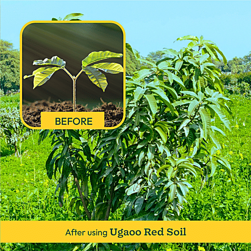 Ugaoo Garden Red Soil, 1 kg (Pack of 2)