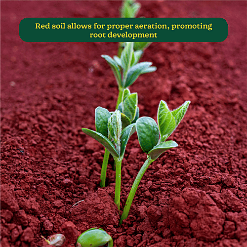 Ugaoo Garden Red Soil, 1 kg (Pack of 2)