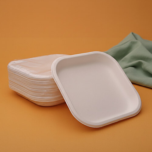 Classi Bio 7" Disposable SQ. QSR Plates, 25 pcs  