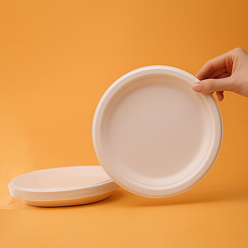 Classi Bio Plain Disposable Round Plates - 25 cm, 15 pcs  