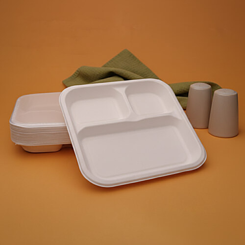 Classi Bio 10'' Disposable Smart 3 Compartment Square Plates, 15 pcs  