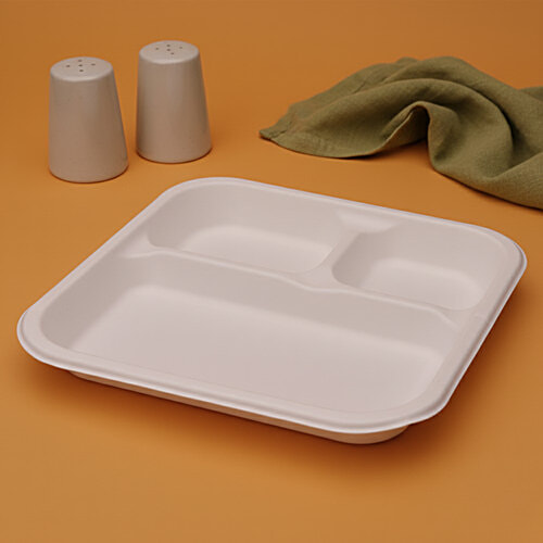 Classi Bio 10'' Disposable Smart 3 Compartment Square Plates, 15 pcs  