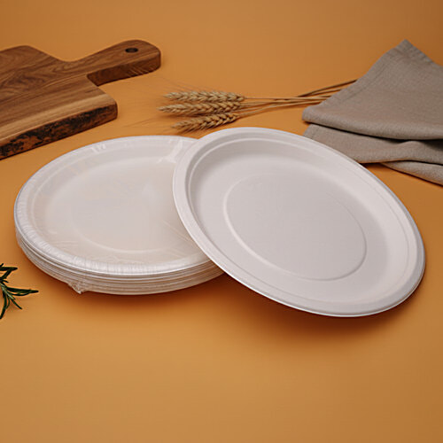 Classi Bio Plain Disposable Super Buffet Plates - 29.50 cm, 10 pcs  