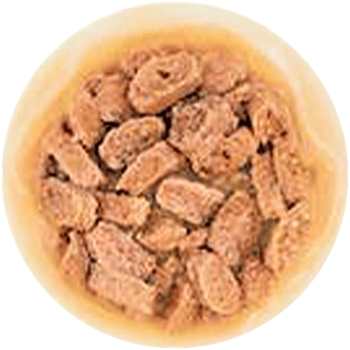 Royal Canin Mini Puppy Wet Dog Food For 2-10 Months - Stage 3, 85 g (Pack of 12)