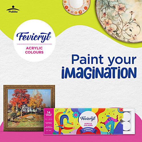 Fevicryl Carnival Kit WIth 14 Acrylic Paint Colours, 1 pc