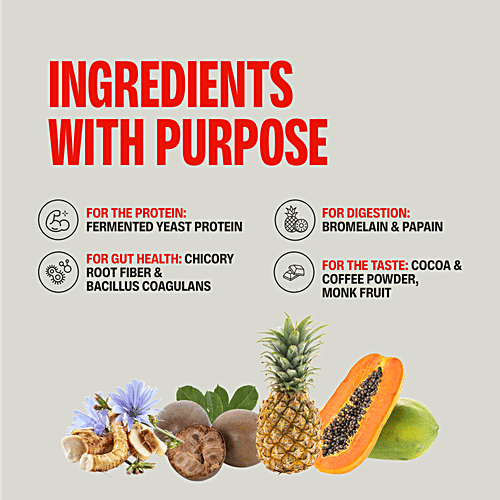 Superyou Pro Chocolate Fermented Yeast 24g Protein Isolate, 36 g (Pack of 8)