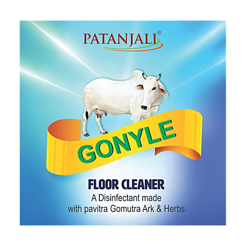 Buy Patanjali Gonyle Floor Cleaner Gomutra Ark & Herbs Online at Best