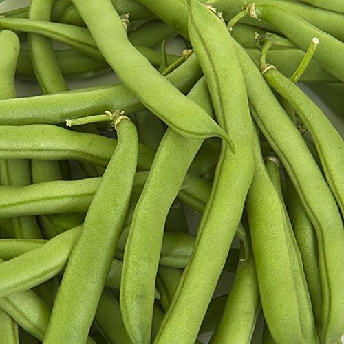 Fresho Beans - French Ring, Organically Grown, 500 g  