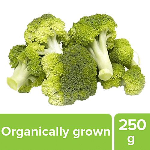 Buy Fresho Broccoli Organically Grown 250 Gm Online at the Best Price