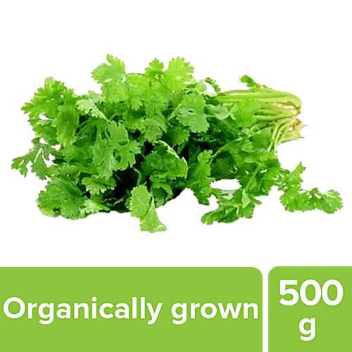 Buy Fresho Coriander Leaves Organically Grown 500 Gm Online at the Best Price of Rs 8.76 bigbasket