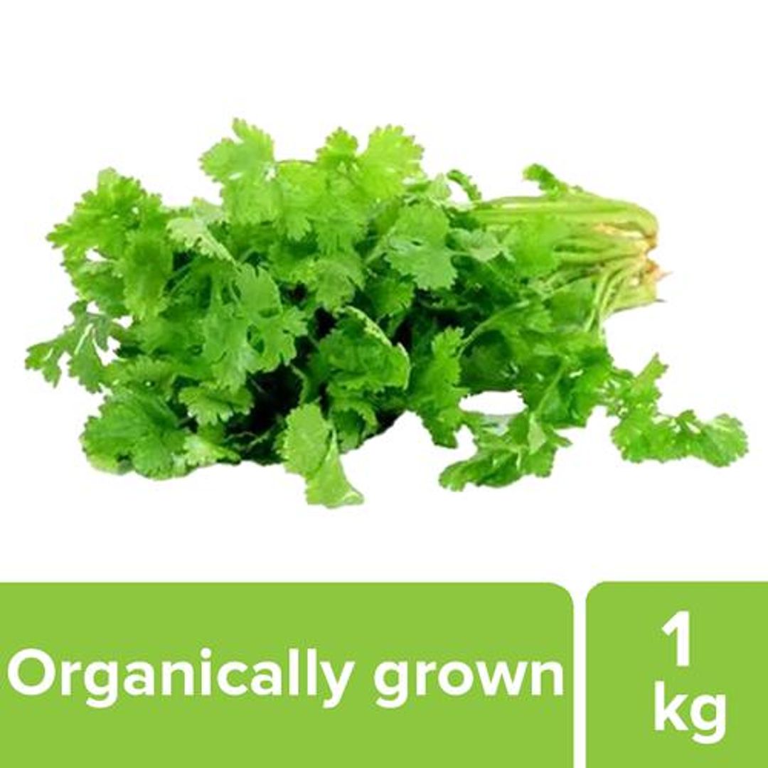 Fresho Corriander  - Organically Grown, 1 kg 