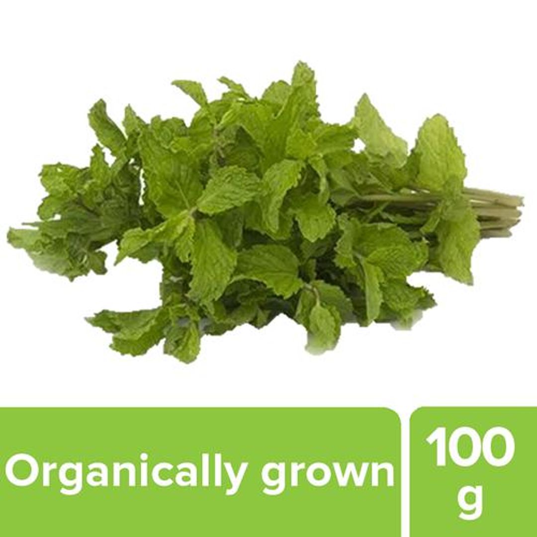 Fresho Mint - Organically Grown, 100 g 