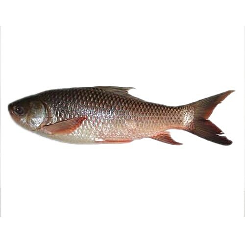 Buy Jacob's Fresh Chicken Fish Rohu / Rui, Curry Cut Online at Best