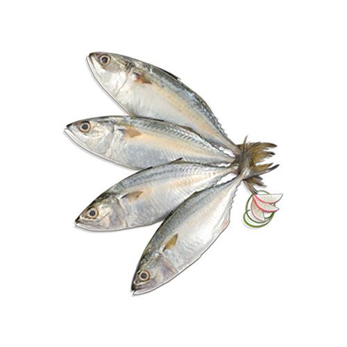 Buy Pesca Fresh Fish Indian Mackerel Bangda 500 Gm Online at the
