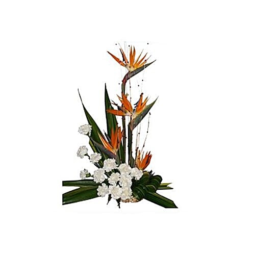 Buy Blooms And Bouquets Malad Flower Bouquet Wings Of Birds 1 Pc Online