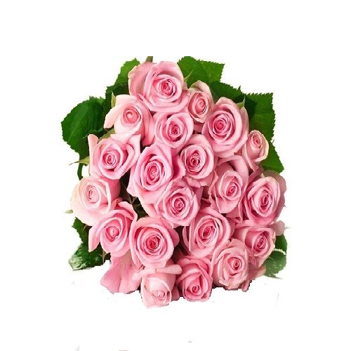 Buy Flower Bagicha Flower Bouquet - My Queen 1 pc Online at Best Price ...