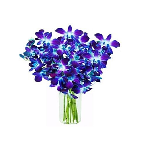 Buy Blooms & Bouquets Flower Bouquet 6 Orchid Blue Online at Best