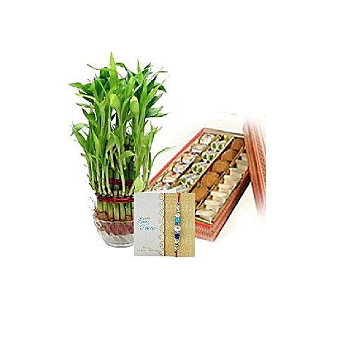 Buy FERNS N PETALS Combo Good Luck With Mewa Online at Best Price of Rs null bigbasket