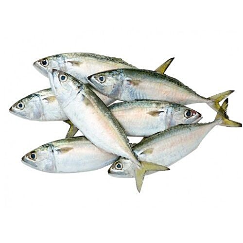 Buy Bengali Fish Corner Fish Mackerel / Ayala / Bangda Online at Best