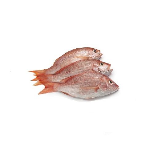 Buy Meen Kadai Fish - Sankara (Full) Online at Best Price of Rs null -  bigbasket