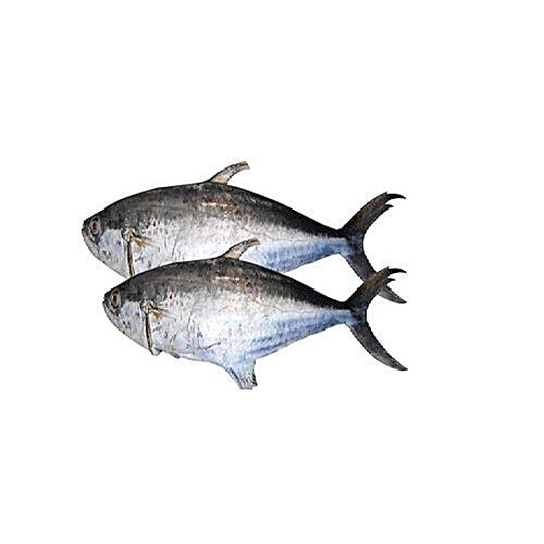 Buy Fresh n Fresh Fish Surmai Online at Best Price of Rs null bigbasket