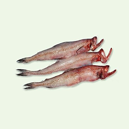 Buy Fresh Catch Fish Bombay Duck Online at Best Price of Rs 125 bigbasket