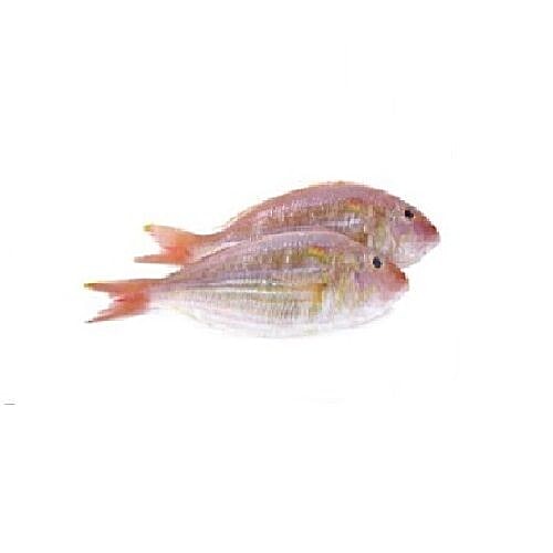 Buy Zappfresh, Delhi Gurgaon Fish Pink Perch Online at Best Price of