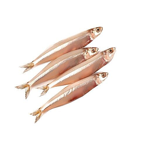 Buy Asir Seafood Fish Nethili (Big), Anchovy Online at Best Price of
