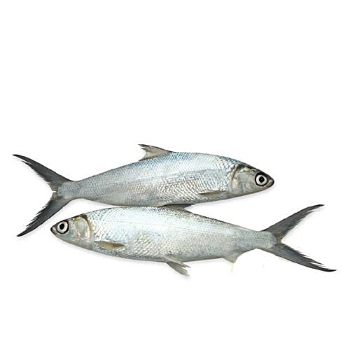 Buy Fresh Catch Fish Poomeen / Punnar 500 gm (Fry Cut) Online at Best