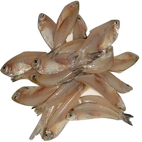 Buy Fish Fresh Fish - Mourala Medium Size Online at Best Price of Rs ...