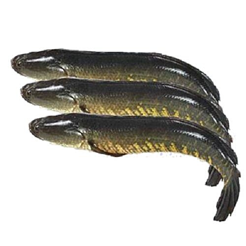 Buy CLS SHOPPING Fish Shol Online at Best Price of Rs null bigbasket