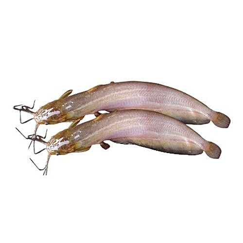 Buy CLS SHOPPING Fish Singhi Online at Best Price of Rs null bigbasket