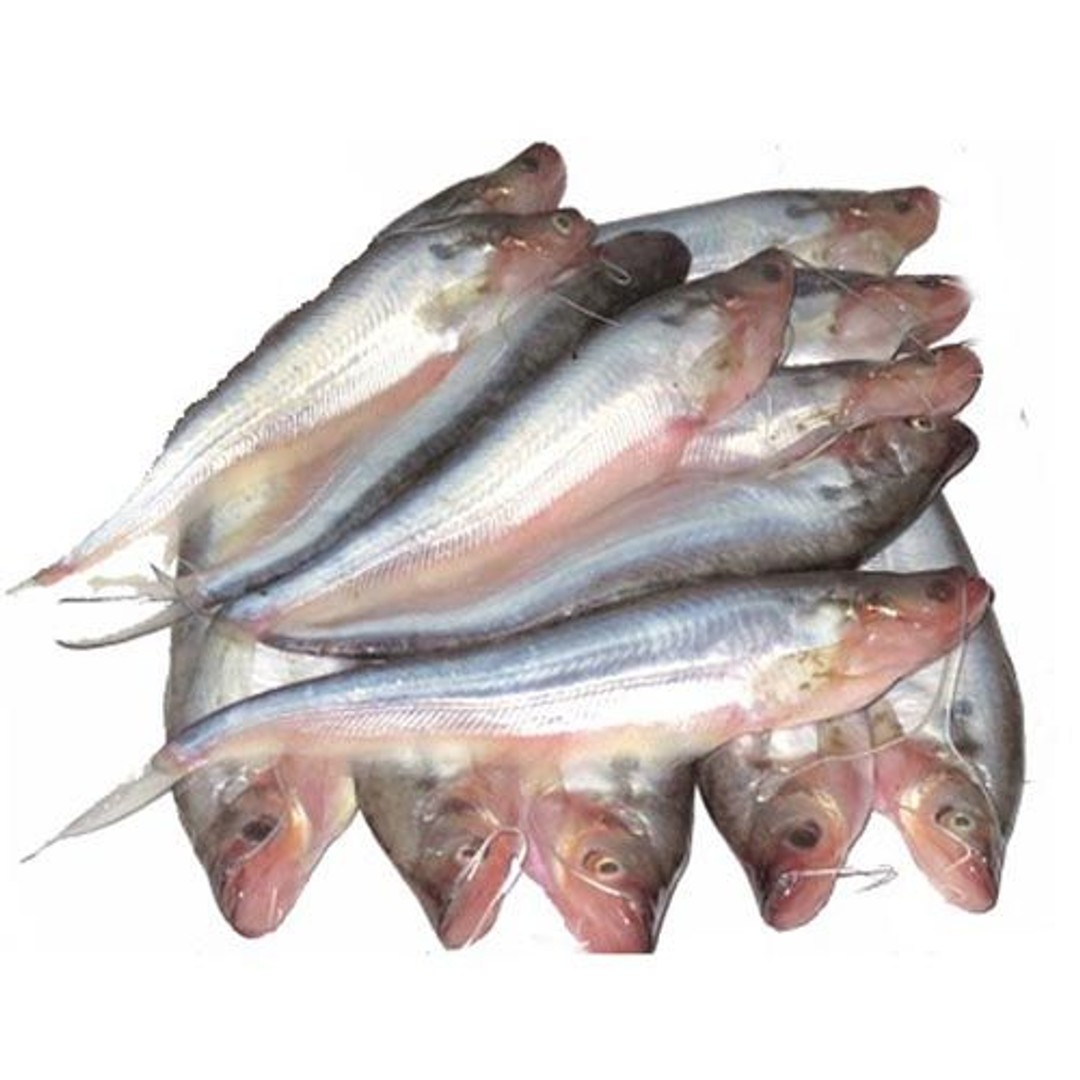 Buy Ansh Fish Supplier Fish Papda Online at Best Price of Rs null