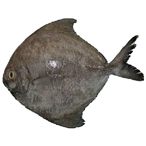 Buy Amir Fish Point Fish Black Pomfret / Halwa Slices Online at Best