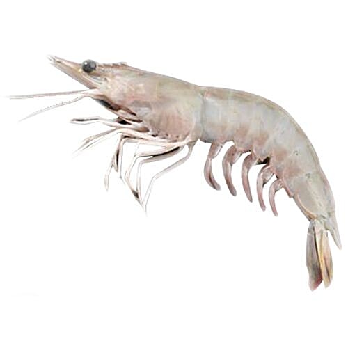 Buy Meaty Prawns White Medium 500 gm (Without Shell) Online at Best Price. of Rs null bigbasket