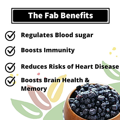 Fabbox Dried Blueberries, 70 g Pouch No Preservatives, Source of Fiber