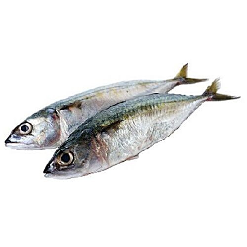 Buy Madras Market Fish Indian Mackerel / Ayila Online at Best Price of Rs null bigbasket