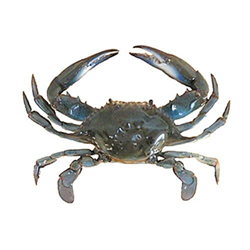 ME FRESH Crab - Blue, 1 kg Cleaned 