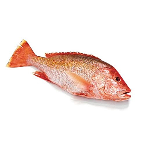 Buy ME FRESH Fish Red Snapper 1 kg (Fry Cut) Online at Best Price. of