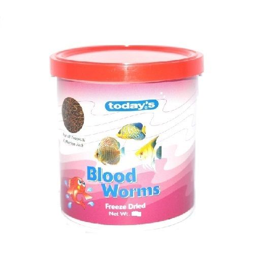 Buy Today's Fish Food - Blood Worms Online at Best Price of Rs