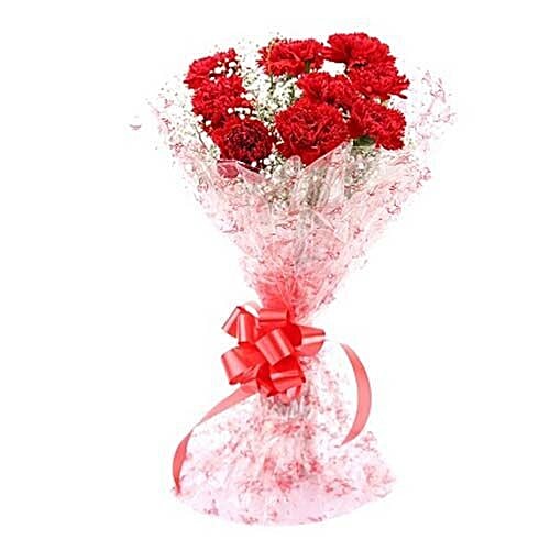 blooms & bouquets, whitefield Flower Bouquet - 12 Red Carnations, 1 pc  