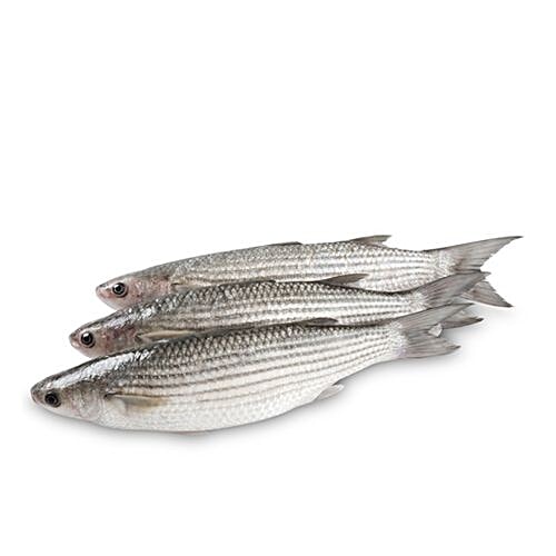 Sakana Fish - Mullet / Mala / Madavai / Kanampu, 500 g Fry Cut 