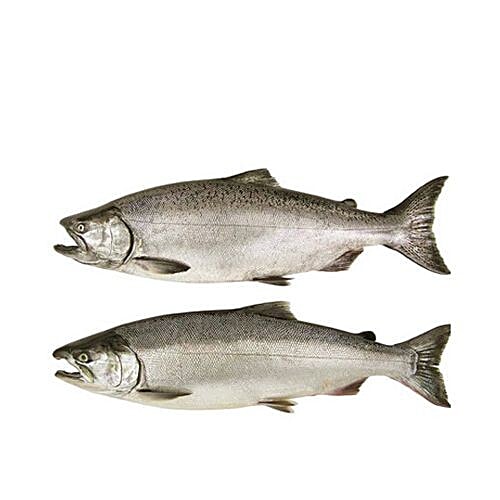 Sakana Fish - Indian Salmon, 1 kg Curry Cut 