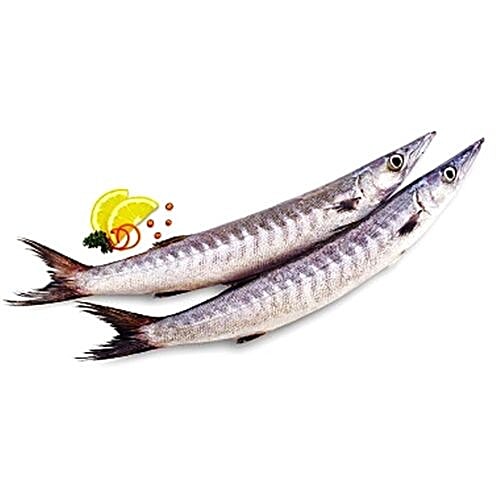 Buy Mr.Fish Fish Barracuda / Sheela Online at Best Price of Rs null