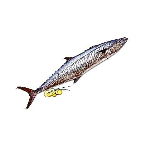Antony Fish Shop. Fish - Vanjiram / Seer Whole, 1 kg Gravy Cut 
